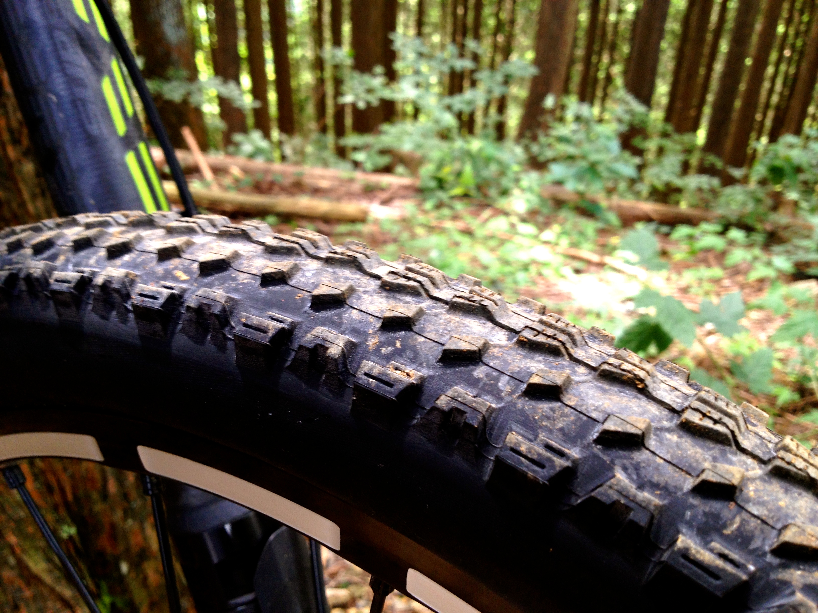 27.5Tire:MAXXIS ARDENT RACE | 山本和弘 | YamamotoKazuhiro.com